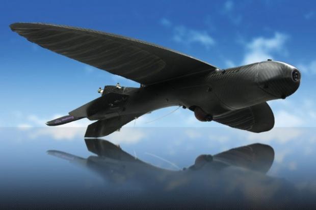 Open enlarged image US Army develops a drone that looks like a bird | TweakTown.com