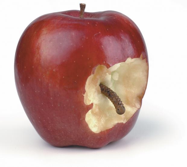 Will Mac OS X Snow Leopard be the next big target for cybercriminals? | TweakTown.com