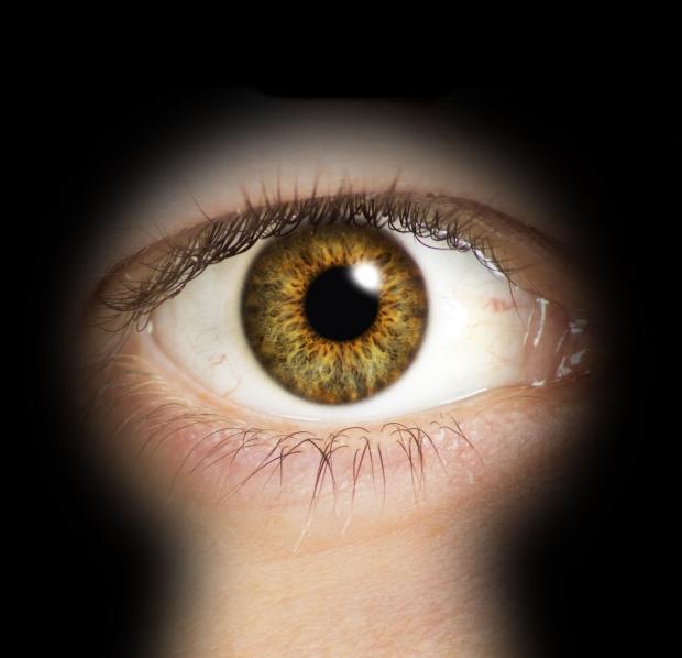 Feds, local law enforcement increasingly able to bust Tor users | TweakTown.com