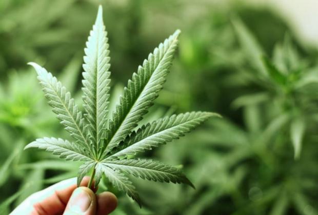 Heat-seeking drones are getting the 420 on weed in the UK | TweakTown.com