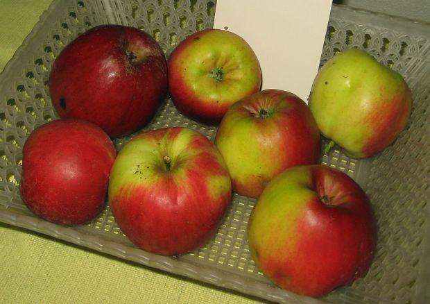Apple posts hefty profits thanks to iPhone sales, growth in China | TweakTown.com
