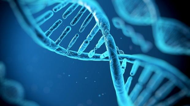 Open enlarged image Google X's Baseline Study project wants to map perfect human health | TweakTown.com
