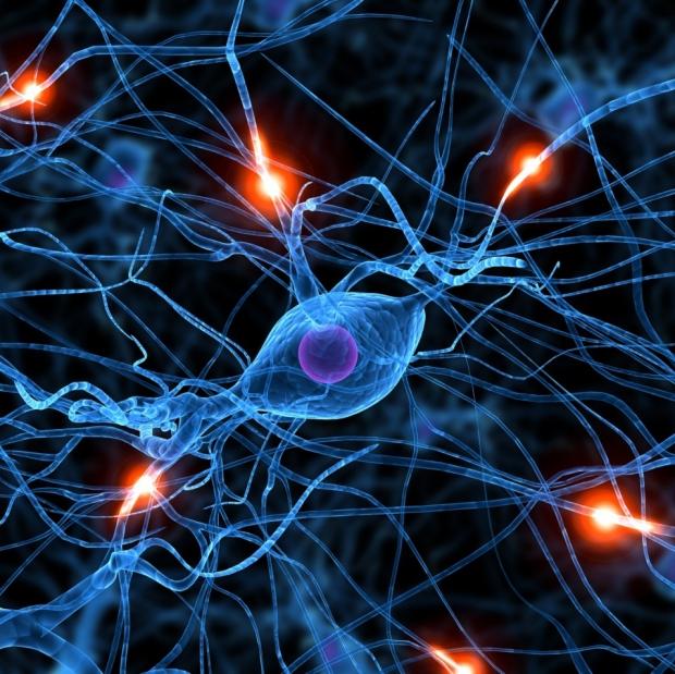 UCLA neurosurgeons using virtual reality for brain analysis | TweakTown.com