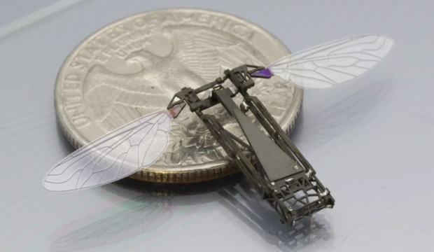 Researchers interested in creating micro-robots, such as RoboBees | TweakTown.com