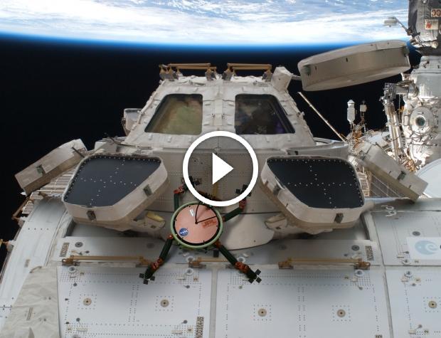 NASA researchers learning from gecko grippers, helping inspire new R&D