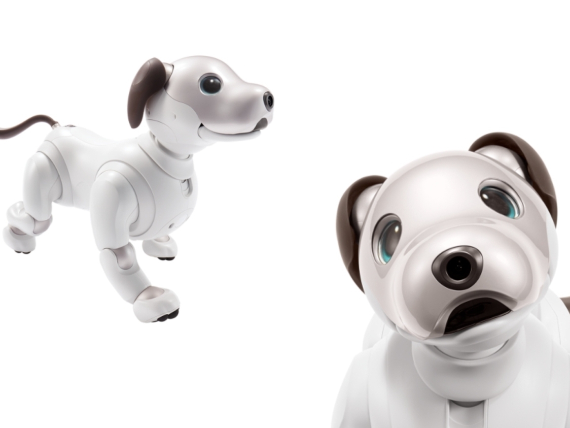 【里親募集】SONY aibo アイボ ERS-1000(現在♂） Aibo ERS-1000 Overview | Learn About Aibo | Virtual Paws