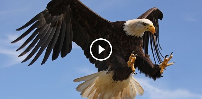 TweakTown Enlarged Image