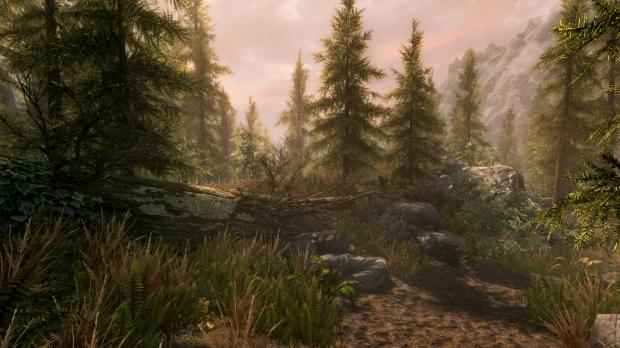 skyrim special edition tweaks