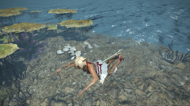 Open Gallery Final Fantasy 14 Stormblood launch details revealed 7
