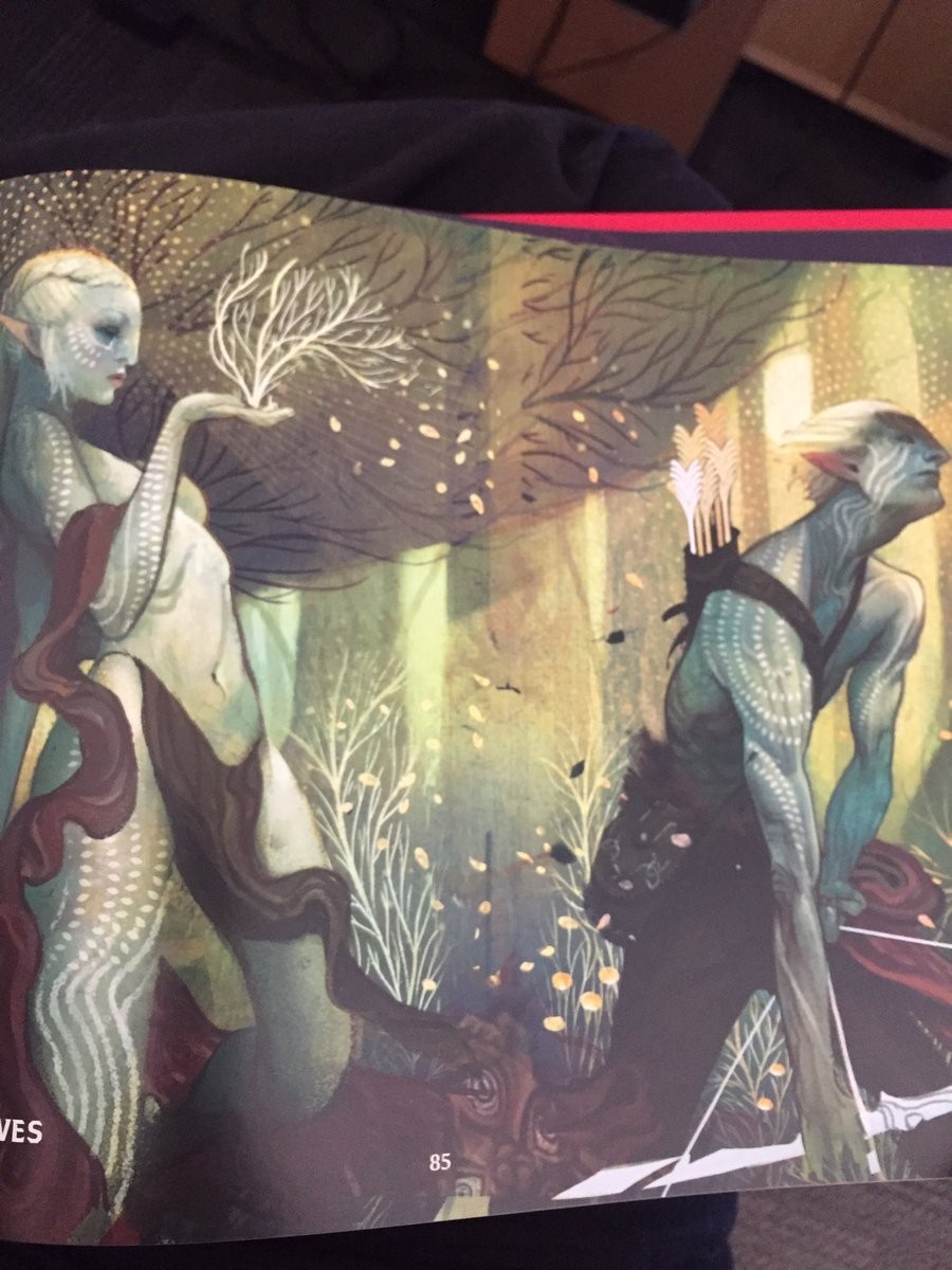 Bioware reveals details on playable characters in Dragon Age - Neoseeker