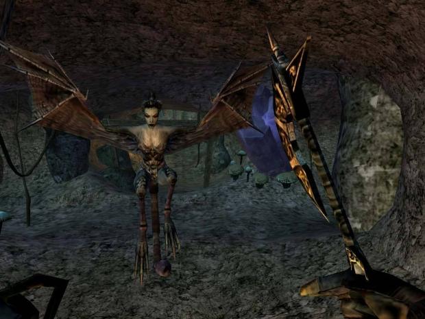 Morrowind, the best Elder Scrolls, turns 15 today 9