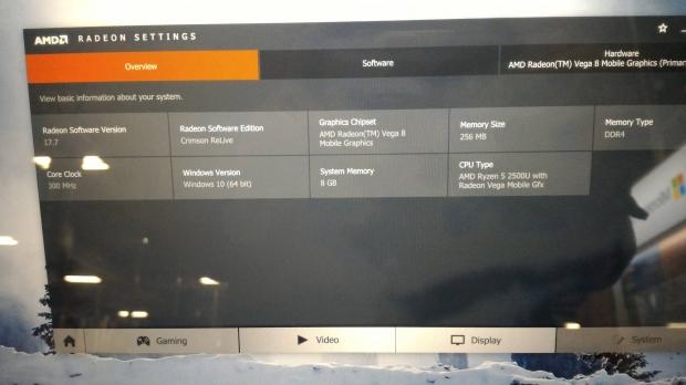 Radeon Vega 8 Mobile 8 Vega GPU cores 256MB DDR4