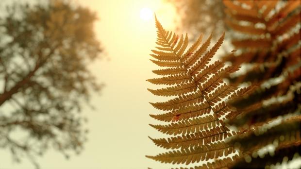 This is real-time rendering pushed to its absolute limit 013