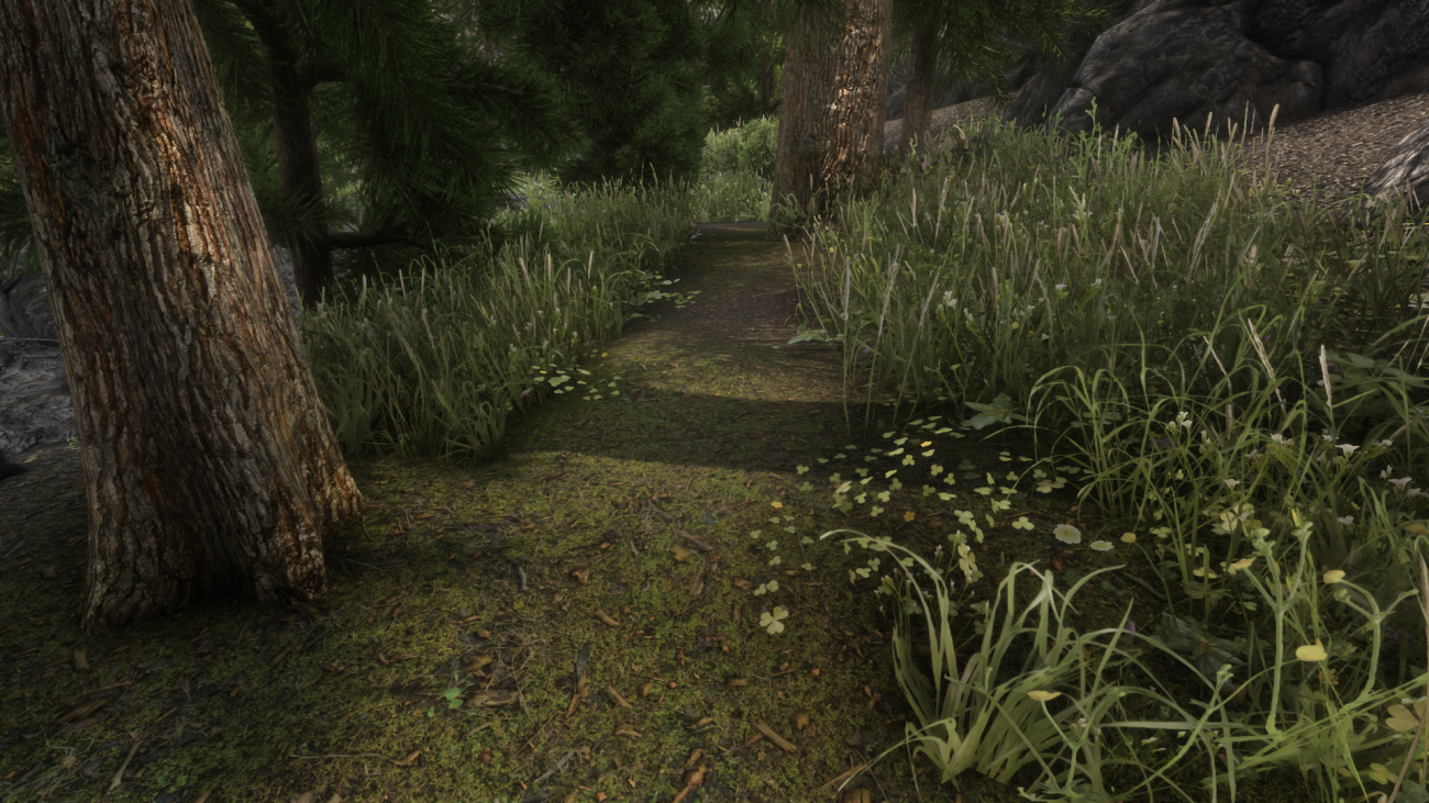 skyrim ground texture mod