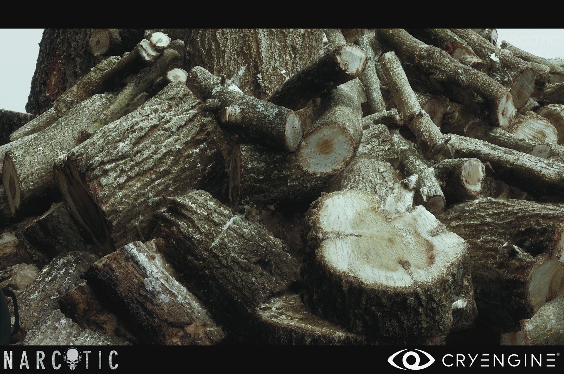 Open enlarged image This CRYENGINE project has the best looking graphics EVER 07