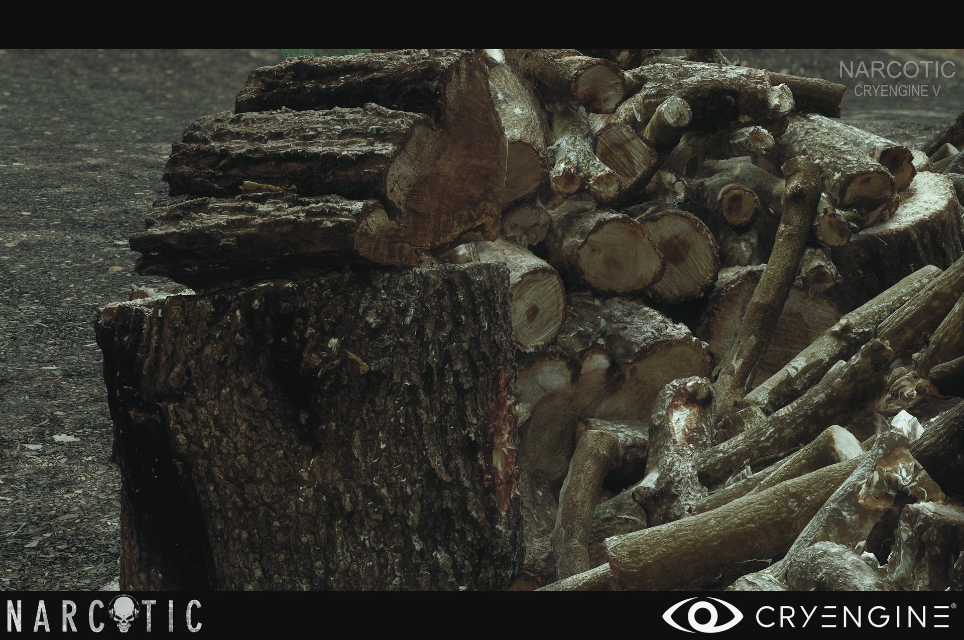 Open enlarged image This CRYENGINE project has the best looking graphics EVER 09
