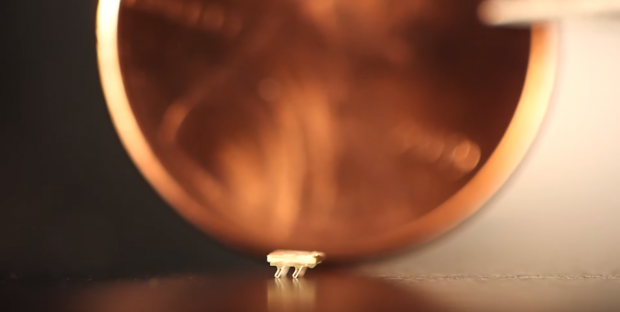 2mm tiny-bots to regenerate your health from the inside out