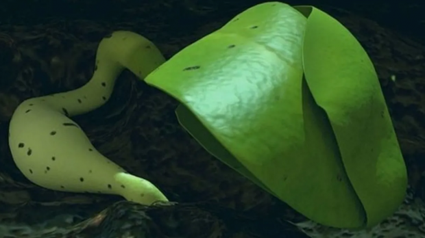 China #1 at successfully growing life on the dark side of the Moon | TweakTown.com