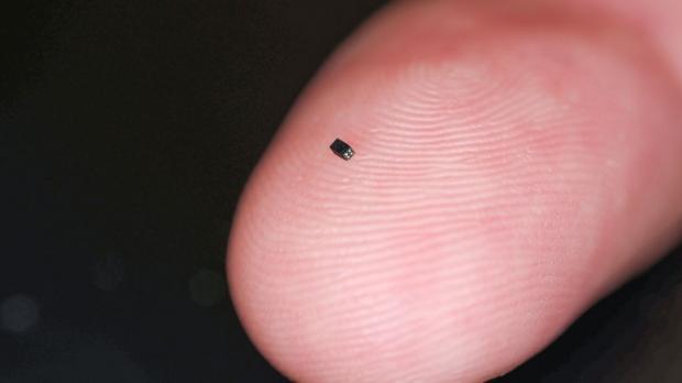 smallest camera is the size of a grain 
