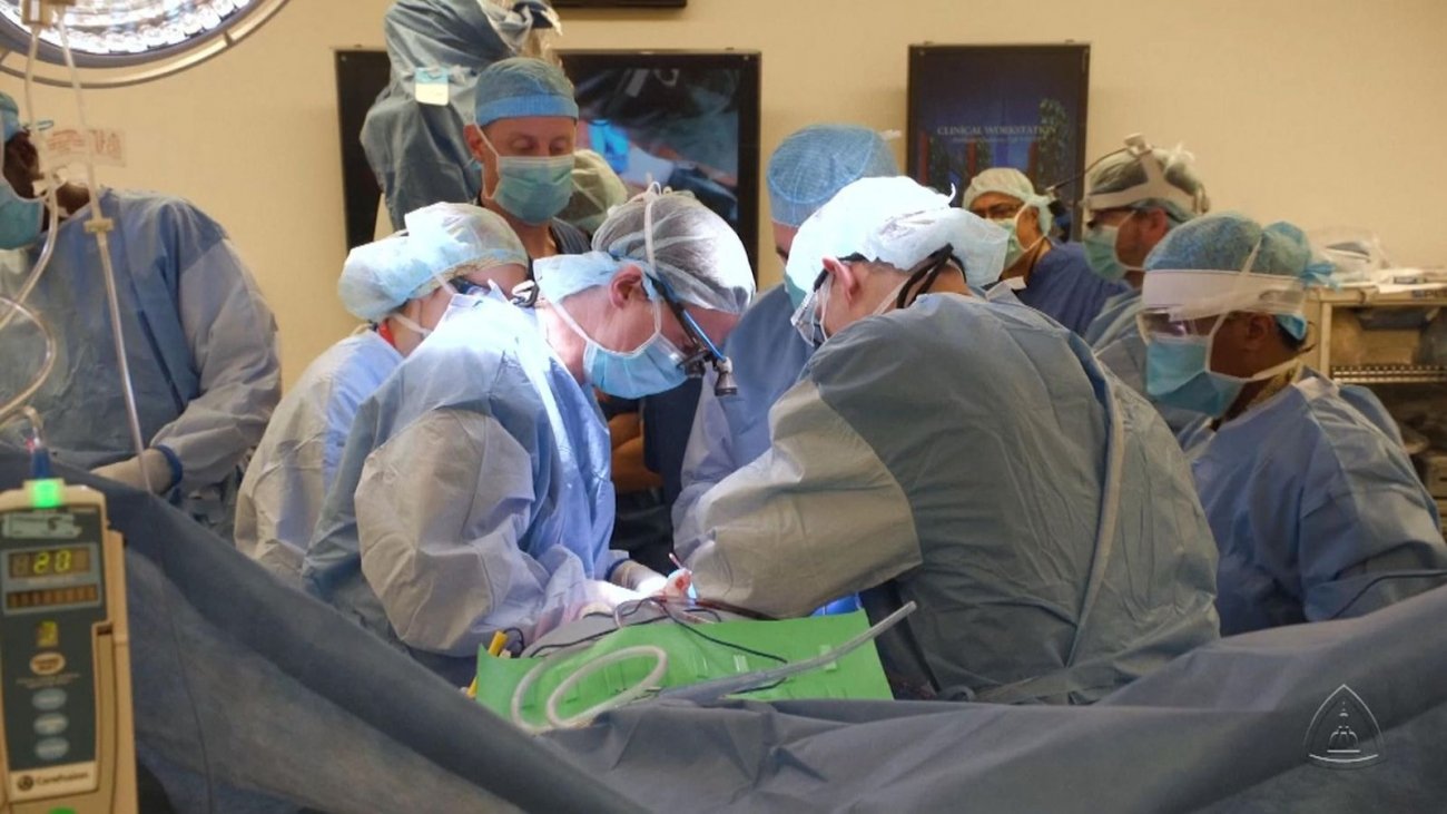 Penis And Scrotum Surgery Is Rock Solid Erections Rise Again TweakTown