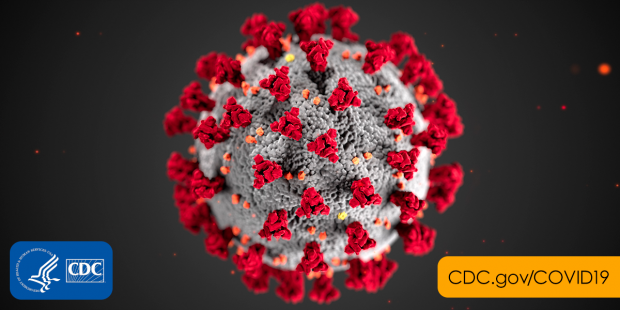 Open enlarged image Trump: Coronavirus may kill up to 240,000 Americans