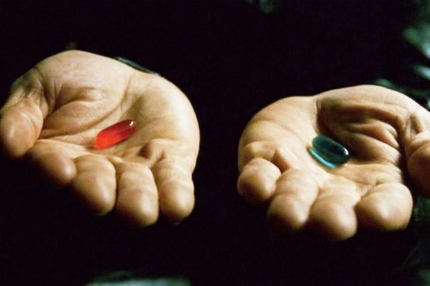 The Matrix 4 director to Elon Musk, Ivanka Trump: 'f*ck both of you'