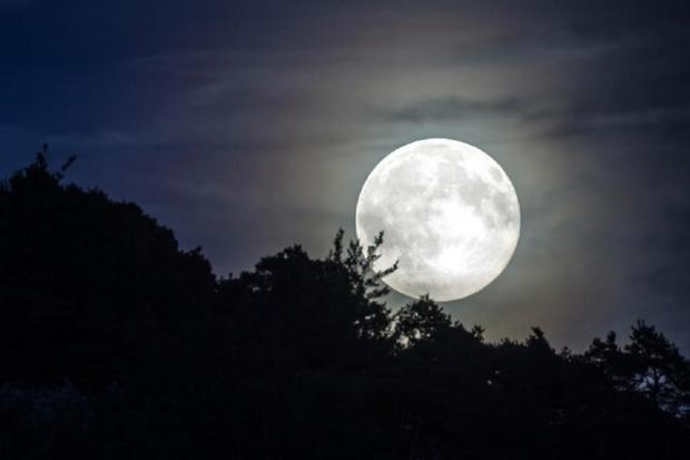 Open enlarged image UFO expert says he has seen 100% proof of alien structures on the Moon