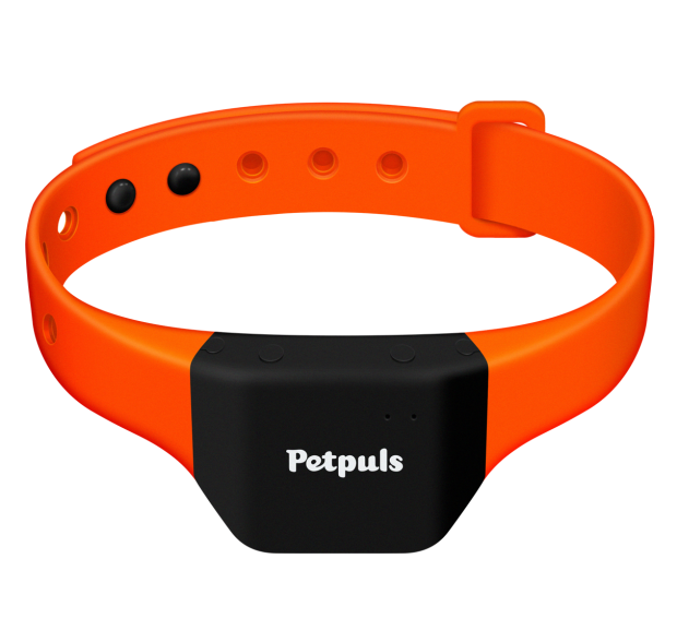 This new AI-powered dog collar gives your dog its own 'voice' 04 This new AI-powered dog collar gives your dog its own 'voice' 04