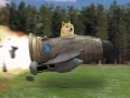 tag tag