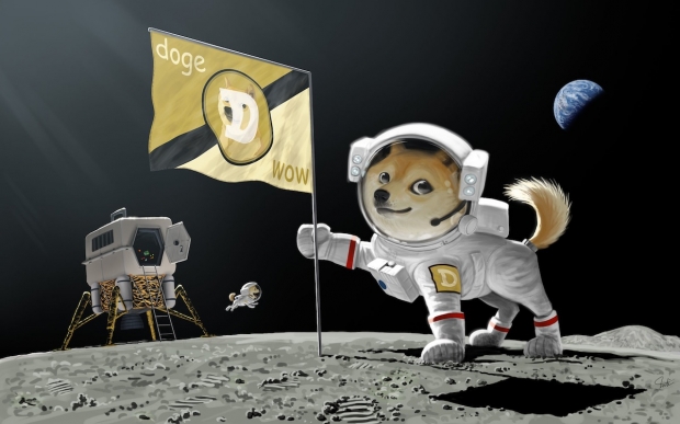 Elon Musk: SpaceX to put 'literal Dogecoin on the literal ...