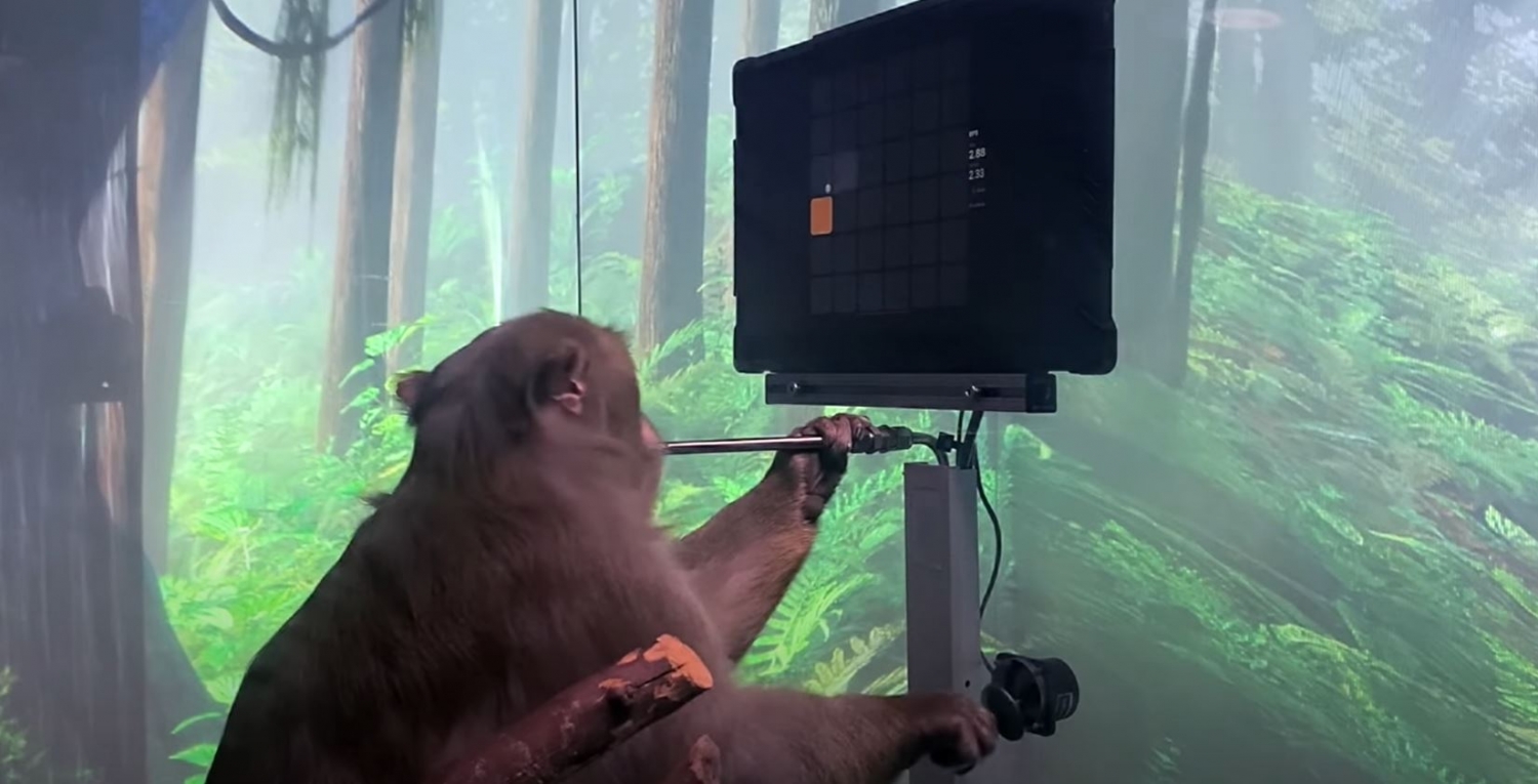 Neuralink shows monkey playing pong with his MIND with brain implant