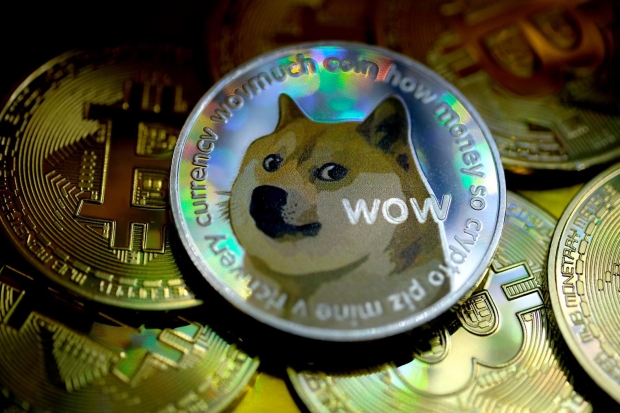 Open enlarged image Dogecoin to the moon is a 'middle finger' to financial system, analyst