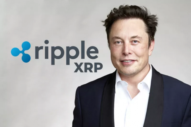 Elon Musk handed Ripple 'the best ad campaign' for XRP 01 | TweakTown.com