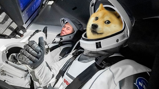 Elon Musk wants to go 'all in on doge'