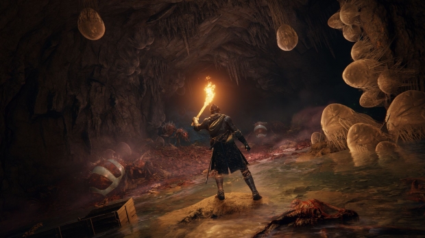 Elden Ring: January 21, 2022 on PS5, Series X, here's tons of screens 13