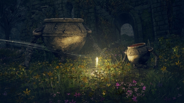 Elden Ring: January 21, 2022 on PS5, Series X, here's tons of screens 17