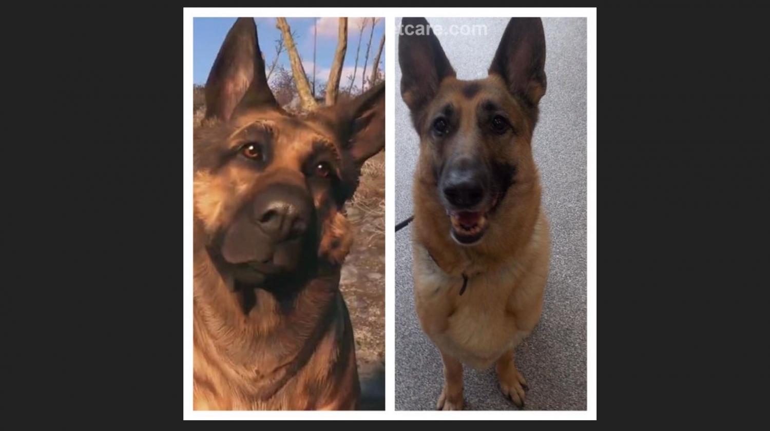 all-dogs-go-to-heaven-fallout-4-s-dogmeat-has-passed-away