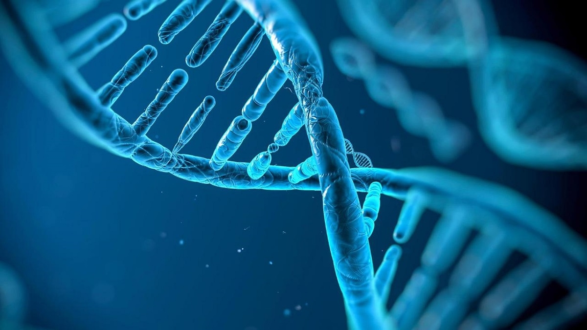 DNA study reveals a percentage of the human genome isn't 'human' - TweakTown