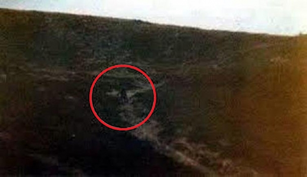 Open enlarged image Here's the most authentic picture of an alien, verified by UFO experts
