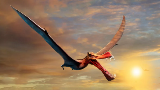 Researchers find closest species to a real-life 'fearsome dragon'