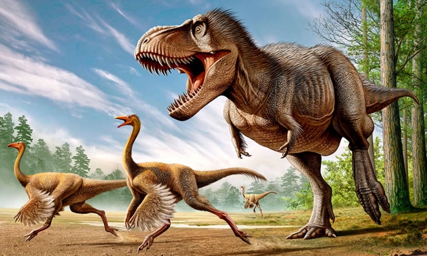 Open enlarged image Researchers find closest species to a real-life 'fearsome dragon'