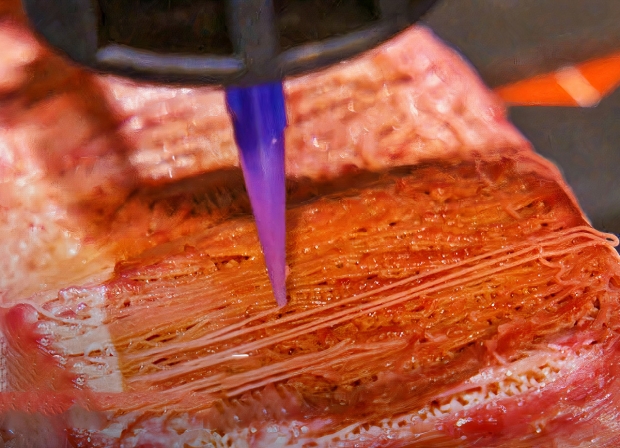 Open enlarged image Japanese scientists use 3D printing to make realistic Wagyu steak