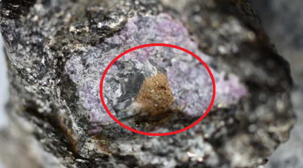 Open enlarged image Evidence of ancient life discovered inside a ruby, 'first time' ever