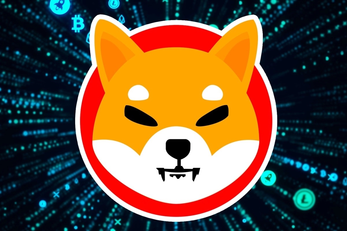 Shiba Inu wallet started with 8000, now worth 5.7 billion