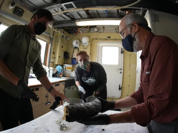 100,000 year old Mammoth Tusk found, sparks 'Jurassic Park' moment 02
