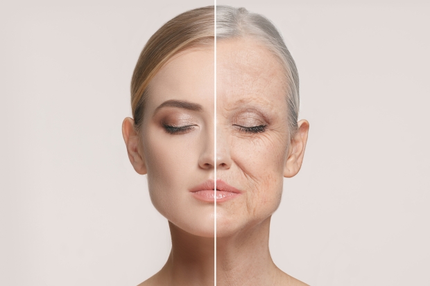Open enlarged image New anti-aging vaccine moves closer toward human trials