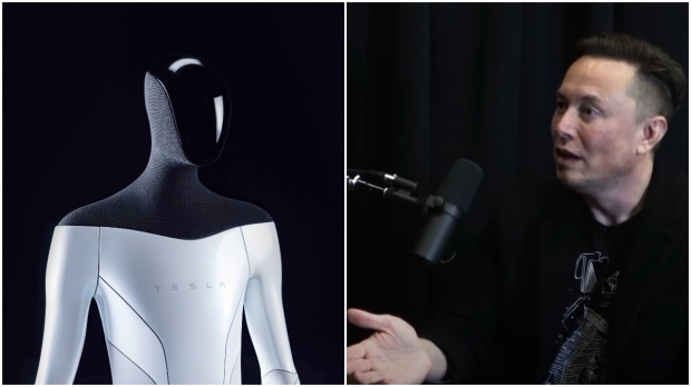 Open enlarged image Elon Musk agrees Tesla Bot's future may be a 'friend' in the household