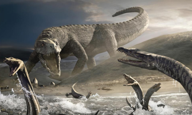 Open enlarged image Rare 200 million-year-old dinosaur footprints found on beach