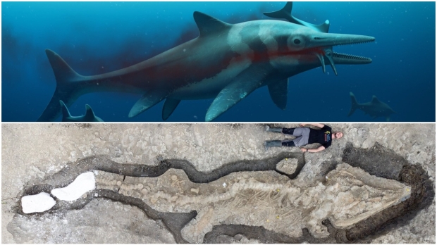 Open enlarged image Researchers make unprecedented discovery, giant 'sea dragon' found