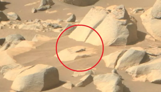 Open enlarged image Did NASA's Mars rover snap a photo of an alien sun-baking on a rock?